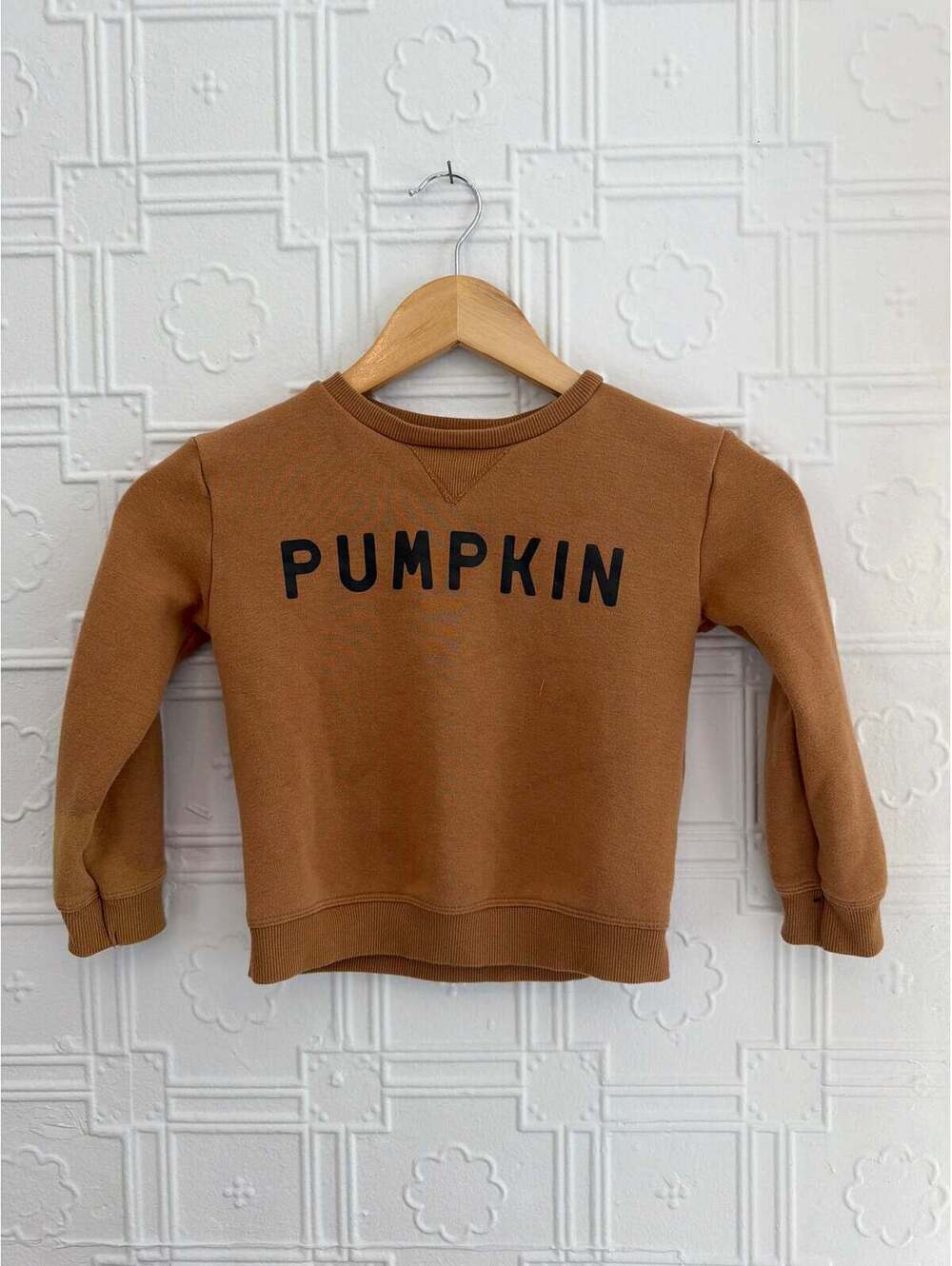 Little & Co Pumpkin Sweatshirt (size 4T)